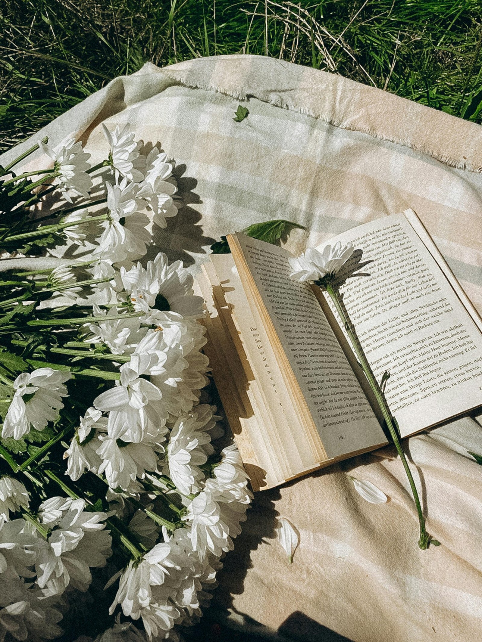 Open book on a blanket surrounded by white flowers in a sunny outdoor setting.